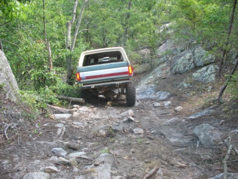 1978 Ford Bronco - 1978 Ford Bronco navigating a challenging off-road path through trees and rocks.