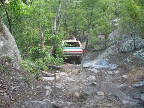 1978 Ford Bronco - A white and red striped Ford Bronco navigates a challenging, rocky path through a dense forest.