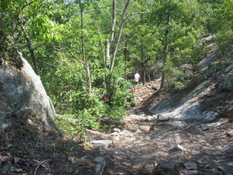 1978 Ford Bronco - A , natural trail winds through a dense forest, with two individuals ascending the rocky path.