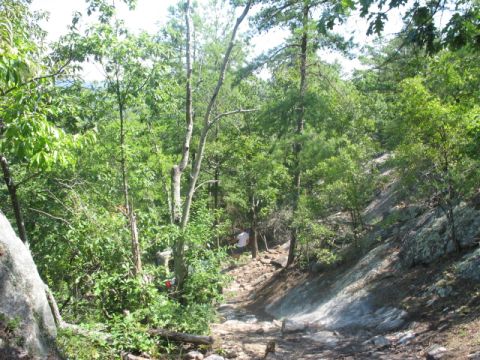1978 Ford Bronco - A wooded trail with rocks and trees, appearing to be a hiking path.