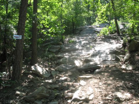 1978 Ford Bronco - A steep, rocky trail winds through a sun-dappled forest, with a sign indicating the path's name.