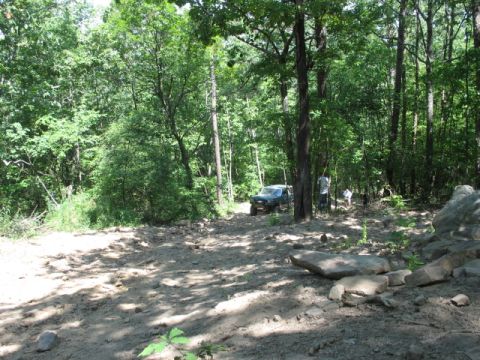 1978 Ford Bronco - A green SUV navigates a rough dirt path through a dense forest with two people standing nearby.