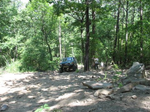 1978 Ford Bronco - An off-road vehicle navigates a challenging path through a dense forest.