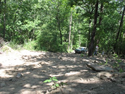 1978 Ford Bronco - SUV navigates a challenging off-road path in a dense forest environment.