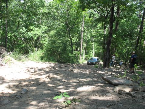 1978 Ford Bronco - A 1978 Ford Bronco navigates a challenging off-road trail surrounded by dense forest.
