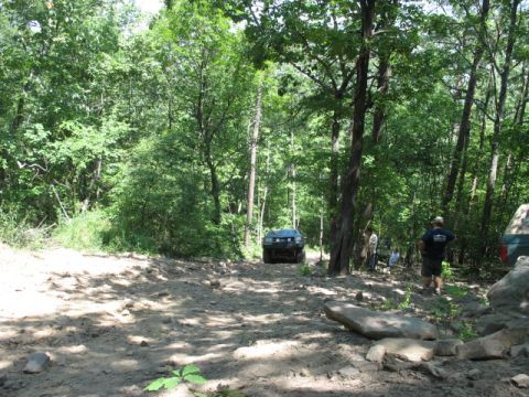 1978 Ford Bronco - A dark SUV navigates a challenging dirt path surrounded by dense trees.