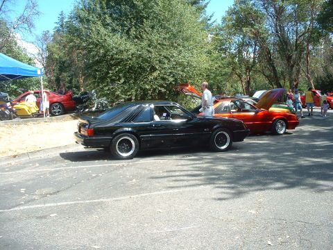 1999 Ford Crown Victoria - Several Ford Mustangs are gathered at an outdoor event, with one black coupe in the foreground.