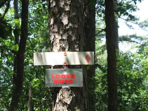 1978 Ford Bronco - A sign in the woods reads "LOOSE NUTS" below another sign with a red diamond symbol.