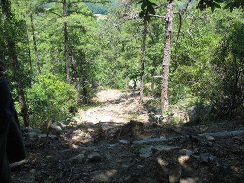 1978 Ford Bronco - A view down a wooded hillside with a dirt path winding through the trees.
