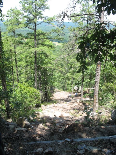 1978 Ford Bronco - View from a wooded hillside overlooking a valley with scattered trees and fields.