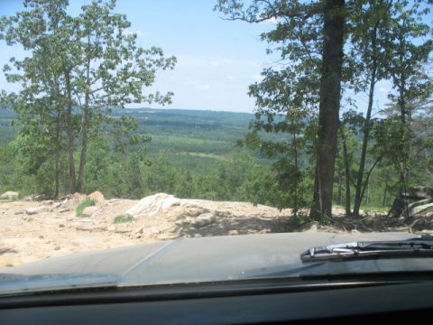1978 Ford Bronco - View from a vehicle's dashboard looking out over a vast, tree-covered landscape under a clear blue sky.