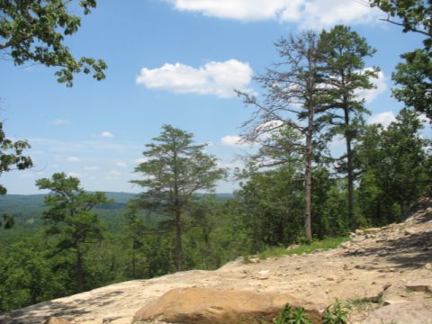 1978 Ford Bronco - A wide view of a forested valley from a rocky outcrop on a sunny day.
