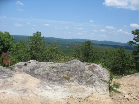1978 Ford Bronco - A scenic view from a rocky elevation, a dense forest stretching to the horizon under a partly cloudy sky.