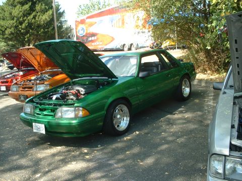 1999 Ford Crown Victoria - Several Ford Mustangs are lined up with hoods open at an outdoor car show.