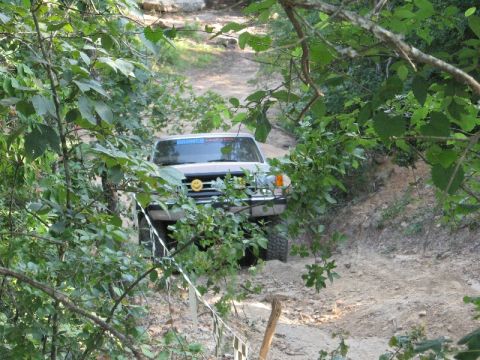 1978 Ford Bronco - A silver Ford Bronco navigates a wooded trail, displaying a "BRONCO" sticker and a smiley face emblem.