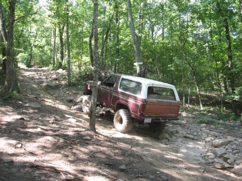 1978 Ford Bronco - A 1978 Ford Bronco navigates a challenging off-road path through a dense forest.