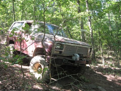 1978 Ford Bronco - This vehicle appears to be an older model SUV, possibly a Ford Bronco, navigating a wooded area.