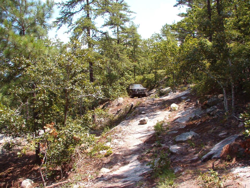 Dark SUV on a rocky slope amid pine forest seen from a distance