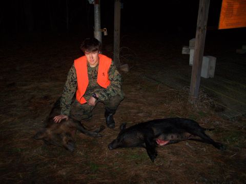 1982 Ford E350 - Hunter poses with two wild hogs after a night hunt.