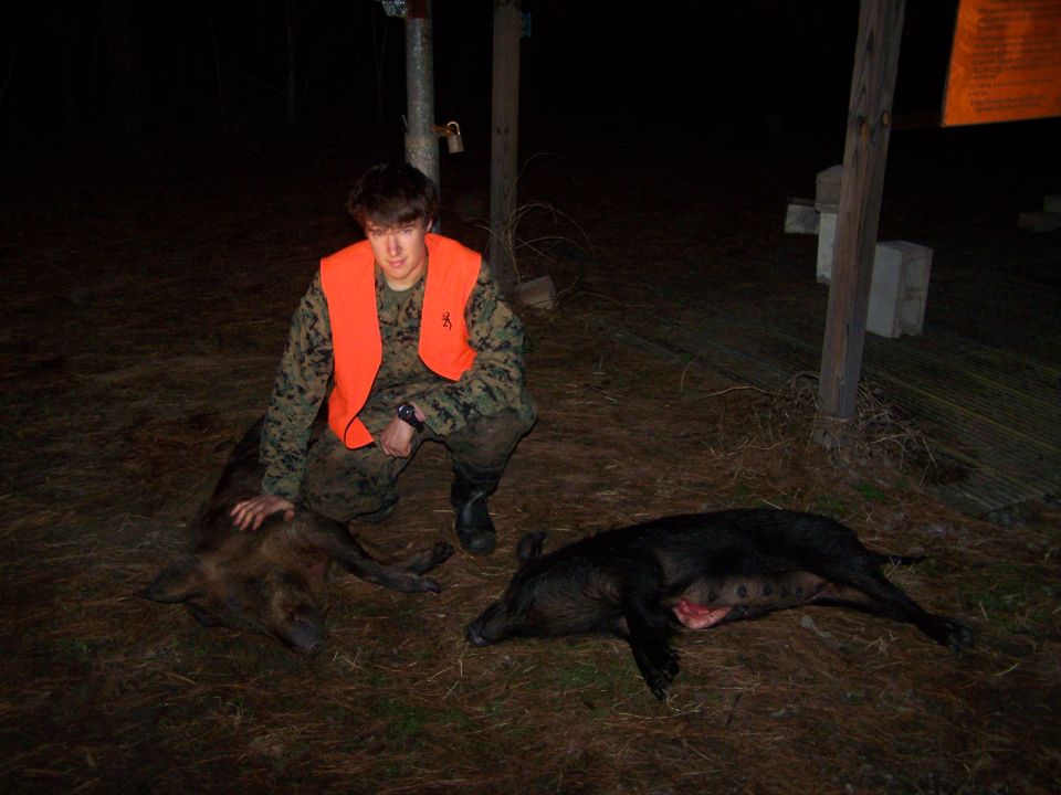 Hunter in orange vest and camo crouches next to two dead wild hogs on the ground at night