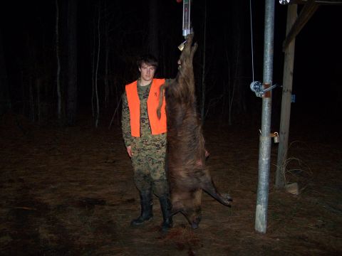 1982 Ford E350 - A hunter poses with a large hog hanging from a scale after a hunt.