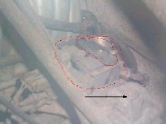 1989 Ford F-150 - A close-up view of a vehicle's undercarriage, highlighting a specific component with a red circle and directional arrow.