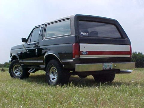 1989 Ford Bronco - This black Ford Bronco is shown from the rear in a grassy outdoor setting. The vehicle features a chrome bumper and a distinctive red and w…