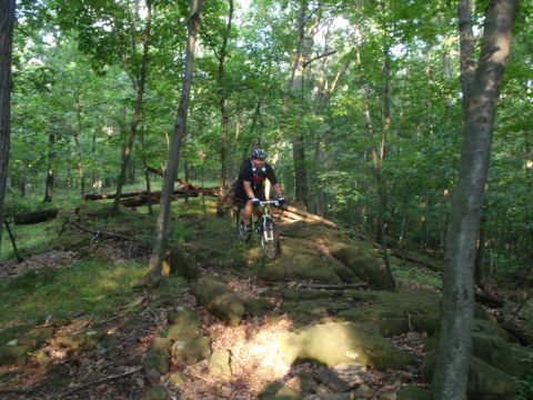 1981 Garelli Rally Sport - A person rides a mountain bike through a wooded area with a rocky path.