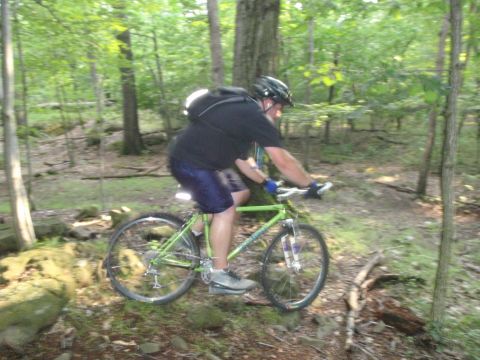 1981 Garelli Rally Sport - Mountain biker navigates a wooded trail with rocks and trees.