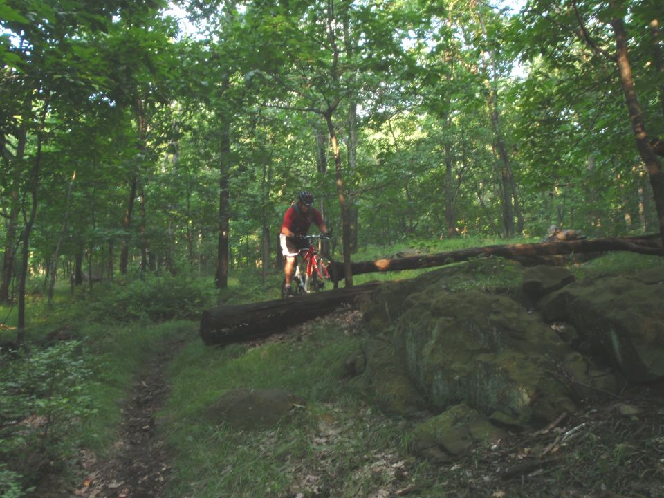 Guy riding a mountain bike over a fallen log in a wooded area