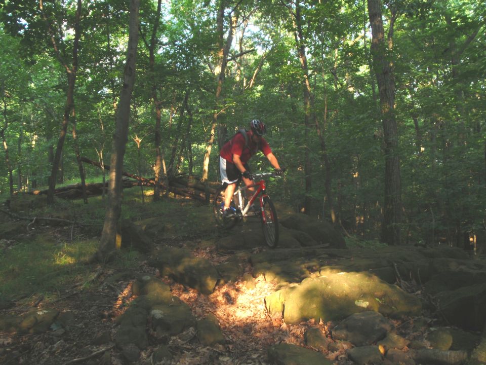 Mountain biker on red bicycle on rocky trail in forest