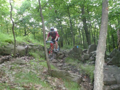 1981 Garelli Rally Sport - Rider navigates a challenging rocky path through a dense forest.