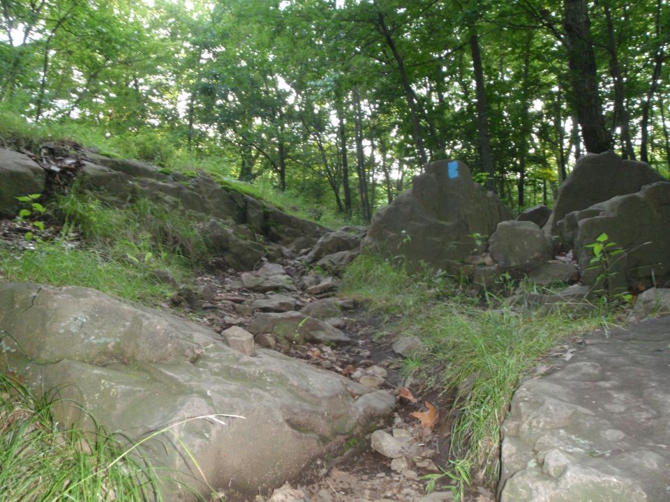 rocky trail going uphill through trees, blue trail marker on a rock