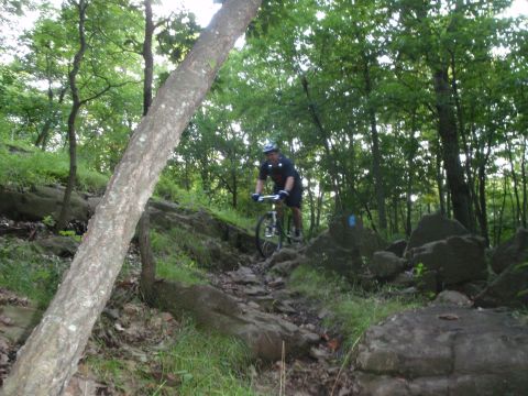 1981 Garelli Rally Sport - A mountain biker navigates a challenging rocky path surrounded by dense trees.