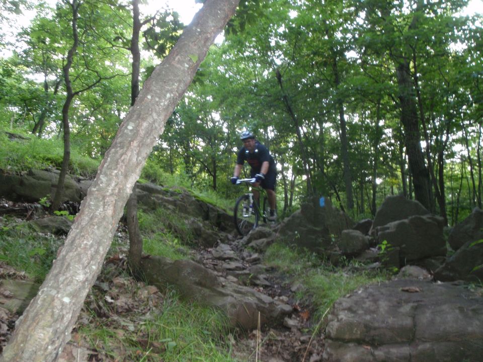 Mountain biker descending a rocky trail through a forest
