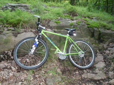 1981 Garelli Rally Sport - Mountain bike resting on rocks in a forest setting.