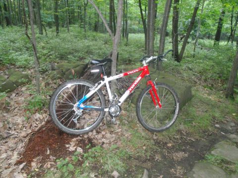 1981 Garelli Rally Sport - A mountain bike rests on a rocky path in a wooded area, with trees and foliage surrounding it.