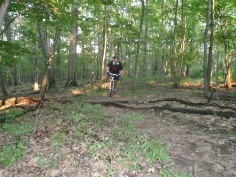 1981 Garelli Rally Sport - Riding a mountain bike on a trail in a wooded area.
