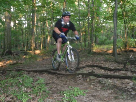 1981 Garelli Rally Sport - A person rides a bicycle on a wooded trail, navigating over fallen branches.