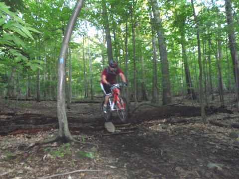 1981 Garelli Rally Sport - A mountain biker navigates a challenging trail through a dense forest.