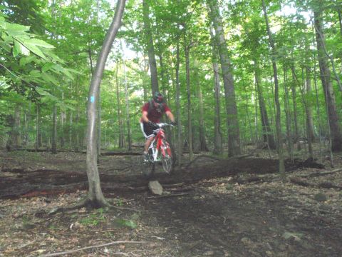 1981 Garelli Rally Sport - A mountain biker navigates a wooded trail, catching air over a small obstacle.