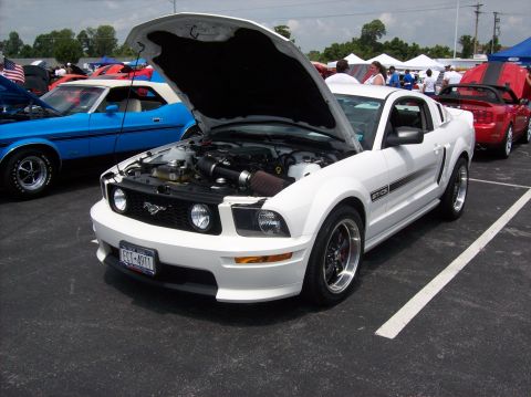 2007 Ford Mustang - A white Ford Mustang GTCS is displayed with its hood open at an outdoor car show.