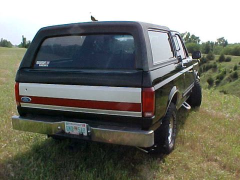 1989 Ford Bronco - This Ford Bronco is parked on a grassy incline with trees in the background. The license plate is visible.