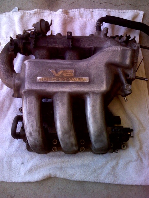 1995 Ford Probe - Close-up of a V6 DOHC 24 valve intake manifold, likely from an older vehicle.