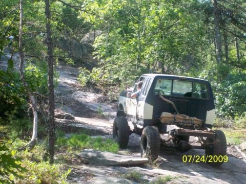 1980 Ford Bronco - A pickup truck navigates a challenging off-road path surrounded by dense forest foliage.