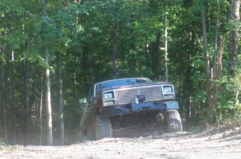 1980 Ford Bronco - This maroon truck navigates a wooded trail, its prominent chrome grille suggesting a 1980s model year.