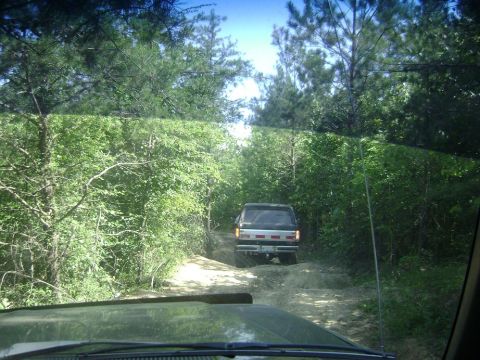1990 Ford Bronco - A 1990 Ford Bronco navigates a wooded trail on a sunny day.