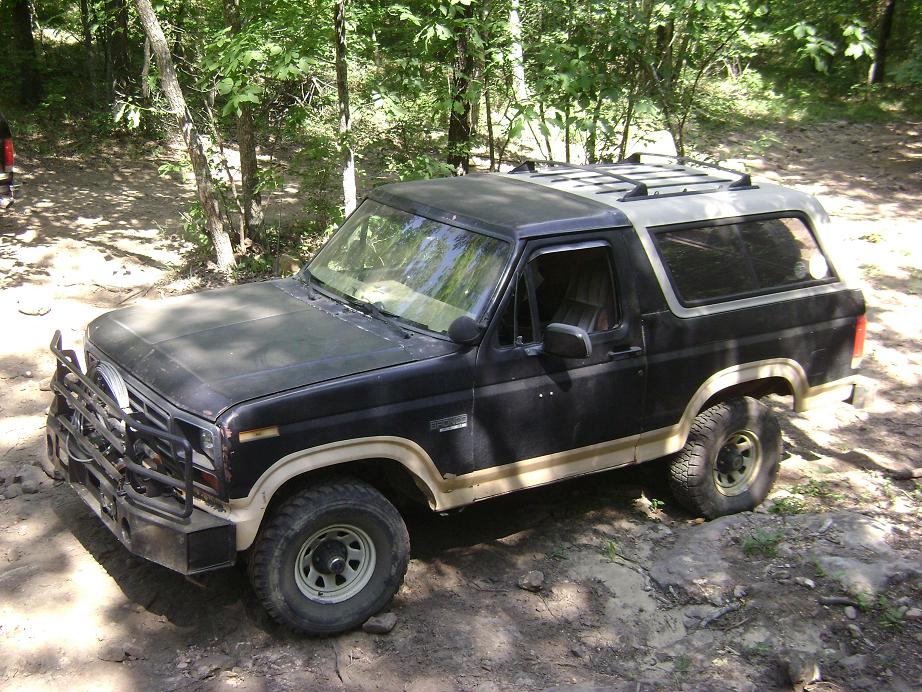 Black Ford Bronco with tan stripe and aftermarket bull bar parked on dirt trail