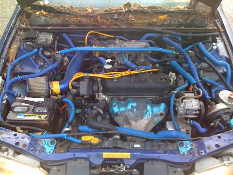 1989 Ford Probe - The engine bay is filled with blue hoses and wiring, with leaves accumulated in the windshield cowl.