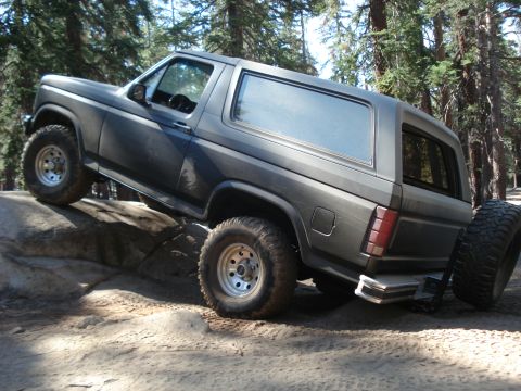 1984 Ford Bronco photo